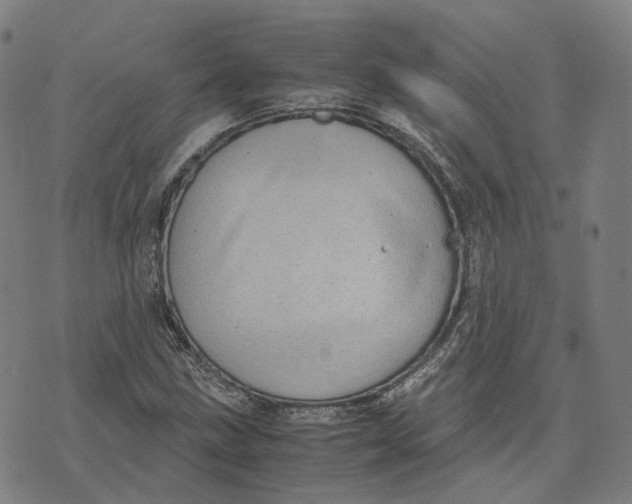 X0000071781211200607211548