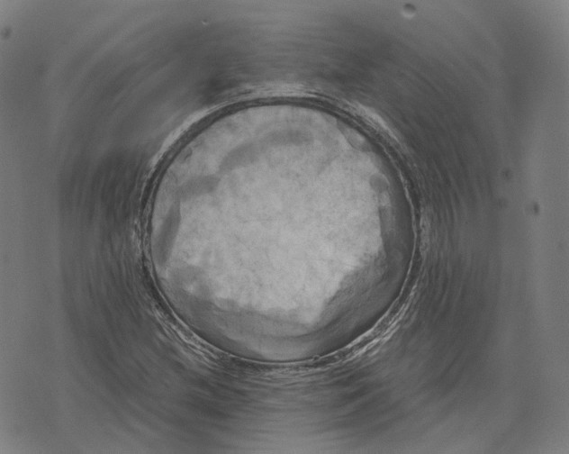 X0000071781212200607211548