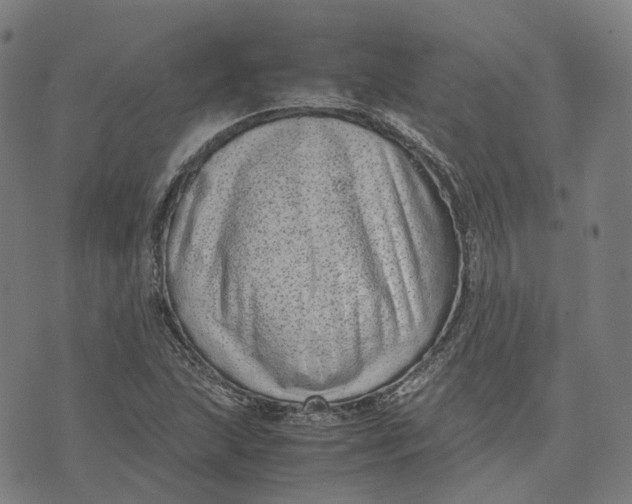 X0000071781215200607211548