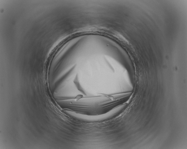 X0000071781216200607211548