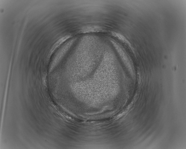 X0000071781217200607211548