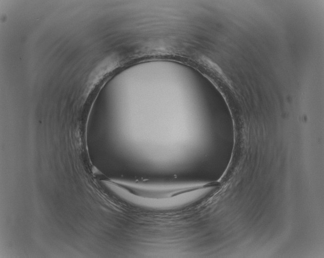 X0000071781218200607211548