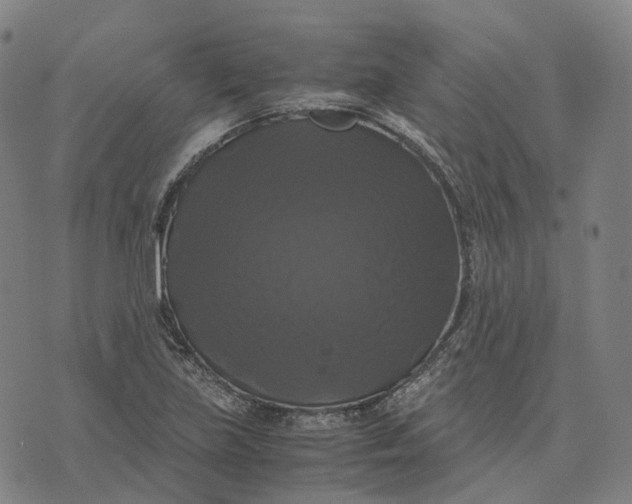 X0000071781219200607211548