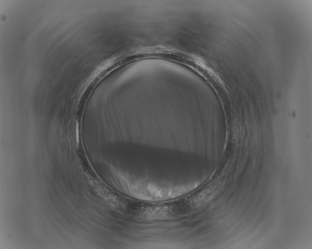 X0000071781221200607211548