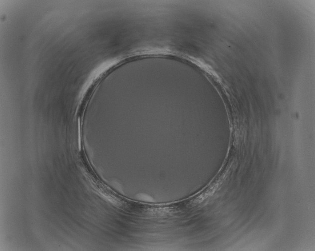 X0000071781223200607211548