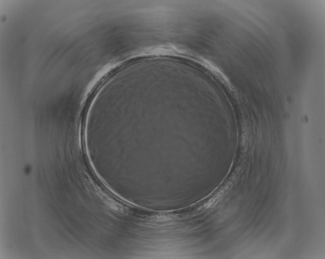 X0000071781224200607211548