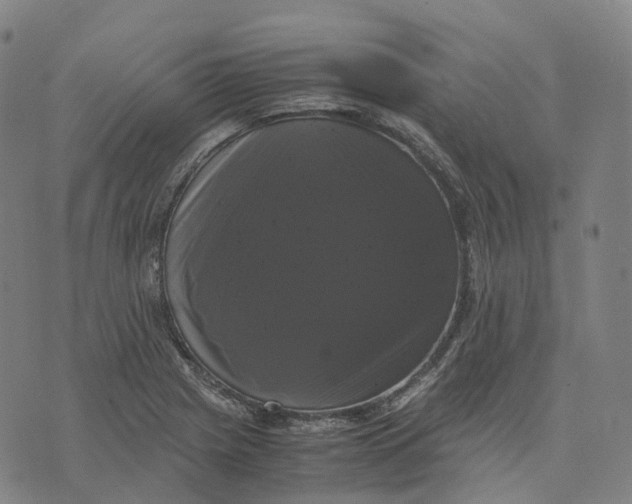 X0000071781225200607211548