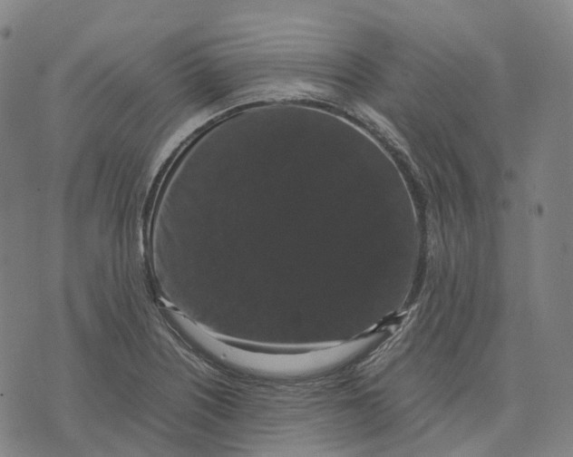 X0000071781226200607211549