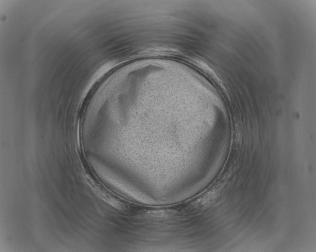 X0000071781227200607211549