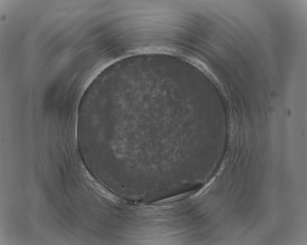 X0000071781228200607211549