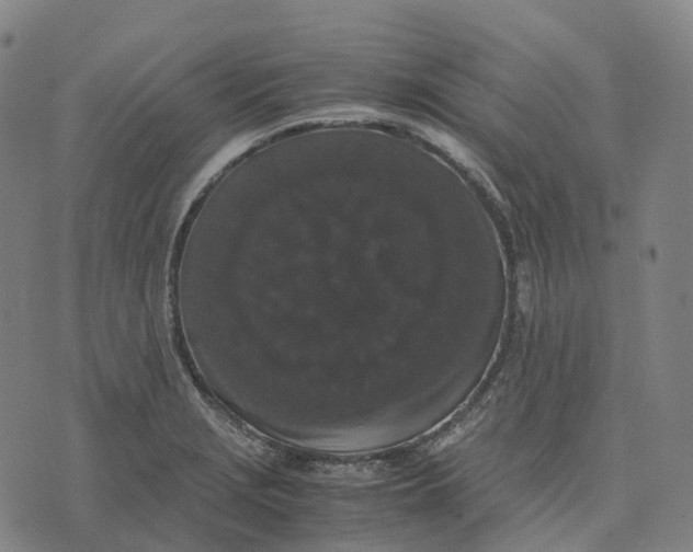 X0000071781229200607211549