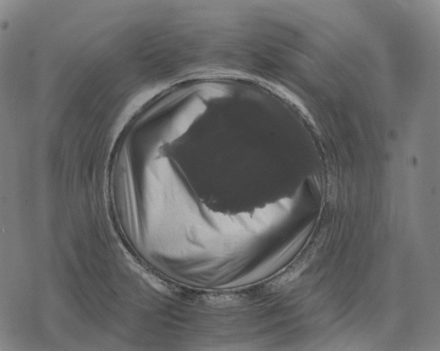 X0000071781231200607211549