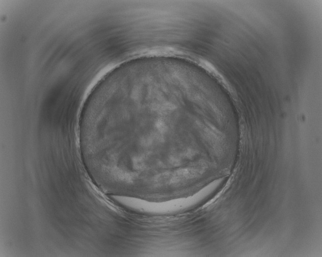 X0000071781232200607211549