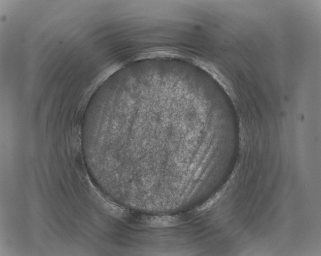 X0000071781233200607211549