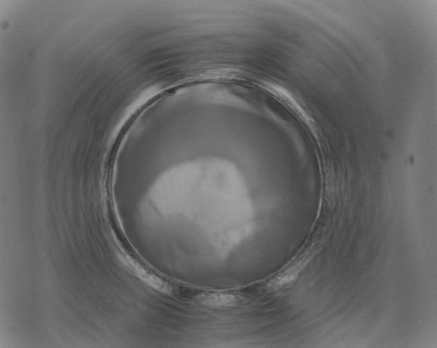 X0000071781235200607211549