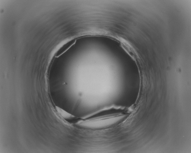 X0000071781238200607211549