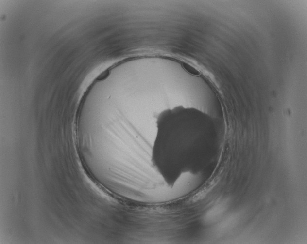 X0000071781239200607211549