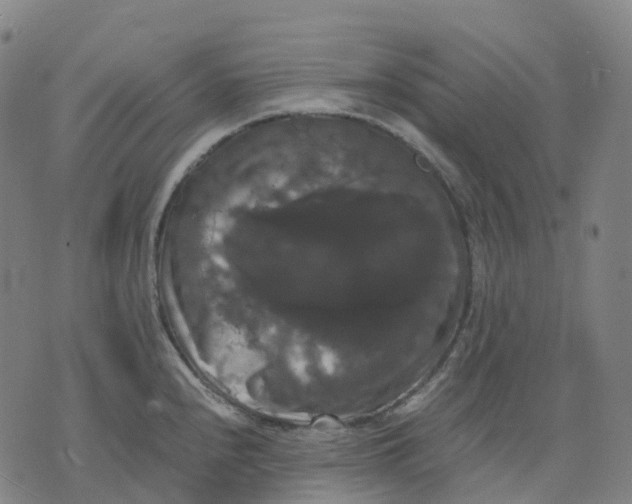 X0000071781240200607211549