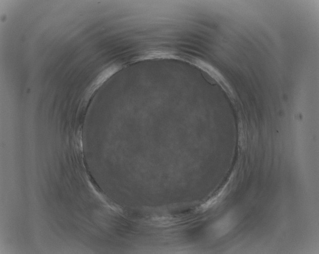 X0000071781241200607211549