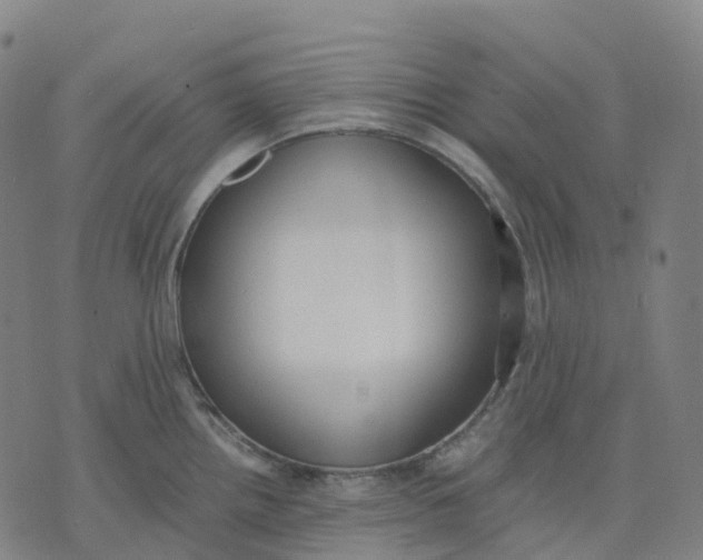 X0000071781242200607211549