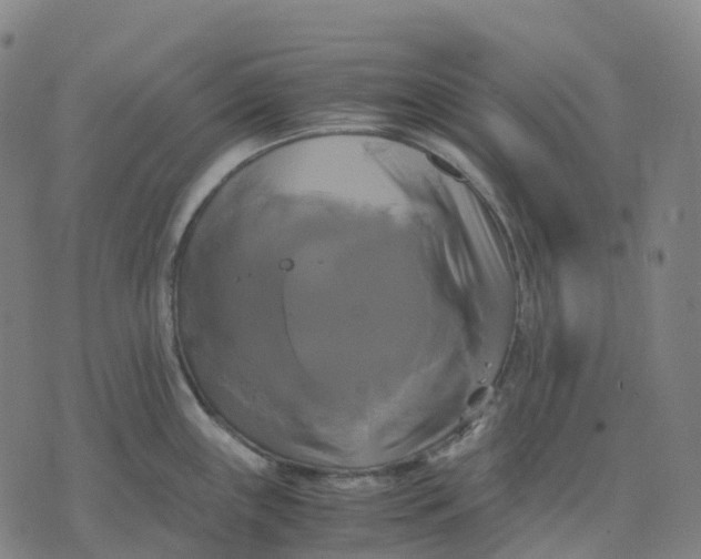 X0000071781243200607211549