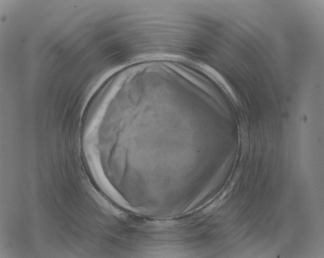 X0000071781244200607211549