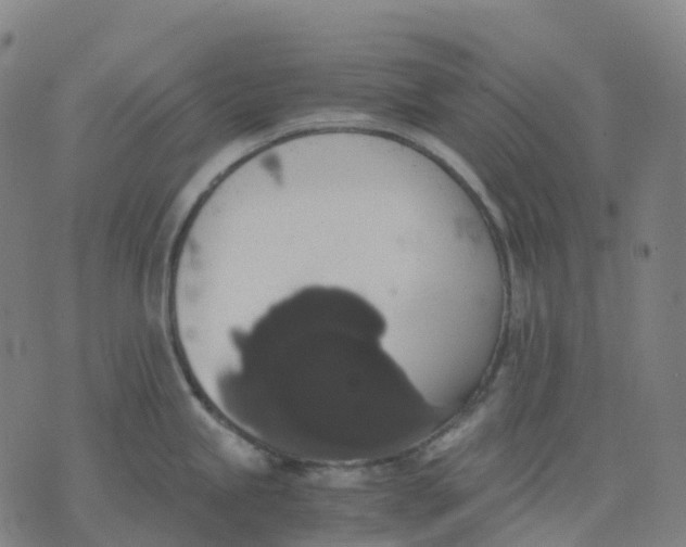 X0000071781245200607211549