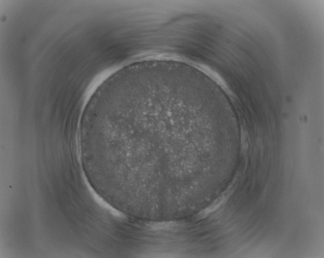 X0000071781247200607211549