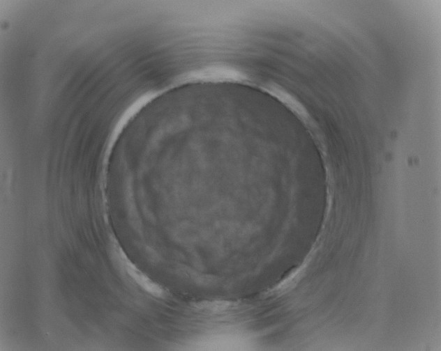 X0000071781248200607211549