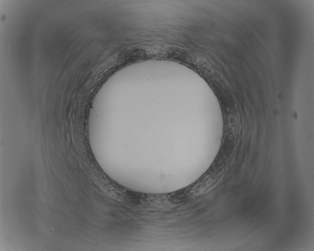 X0000071781249200607211548