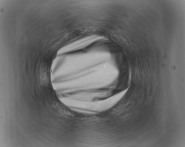 X0000071781250200607211548