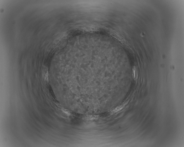 X0000071781251200607211548