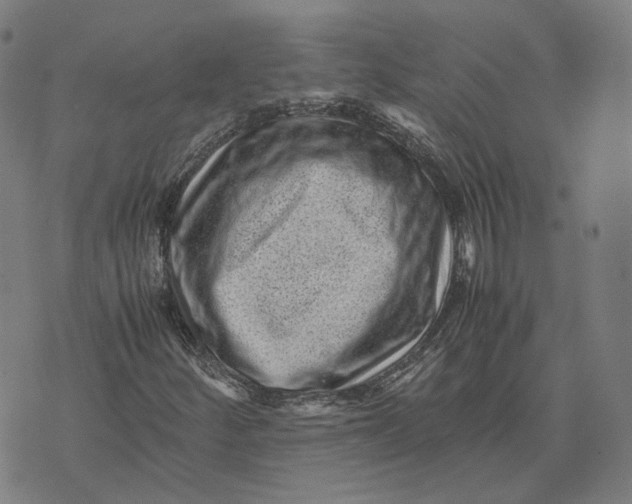 X0000071781252200607211548