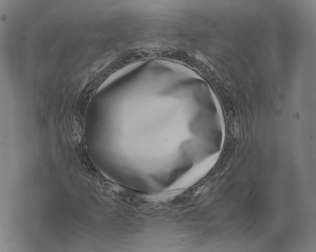 X0000071781253200607211548