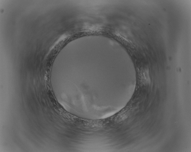 X0000071781254200607211548