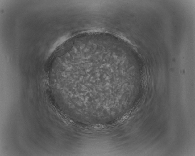 X0000071781255200607211548