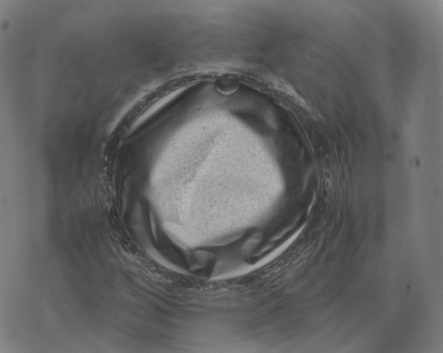 X0000071781256200607211548