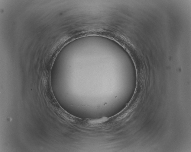 X0000071781257200607211548