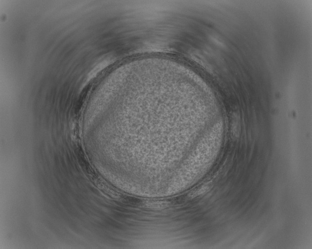 X0000071781258200607211548