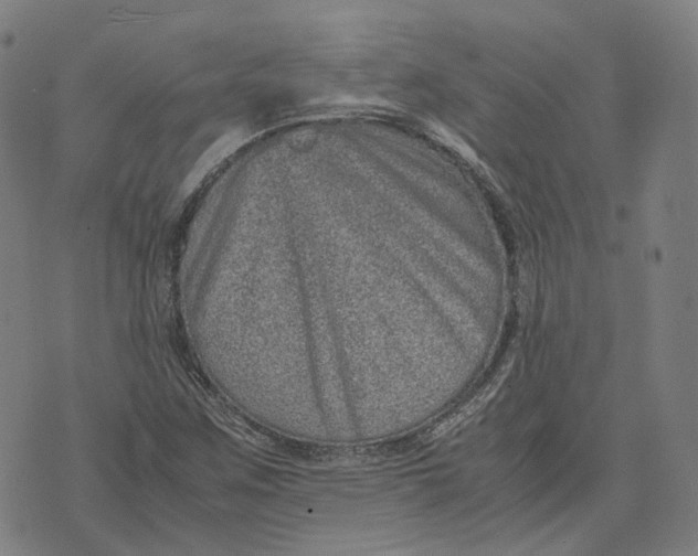 X0000071781259200607211548