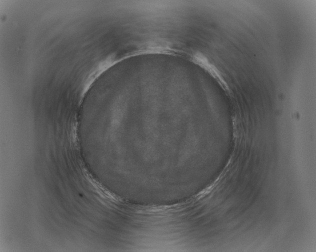 X0000071781260200607211548