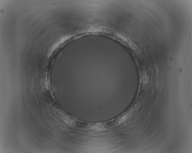 X0000071781262200607211548