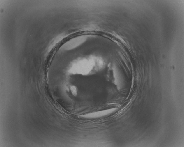 X0000071781263200607211548