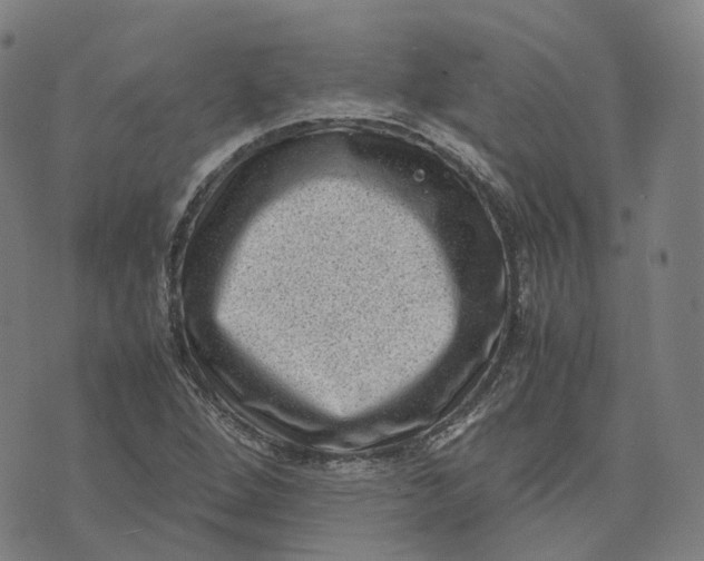 X0000071781264200607211548