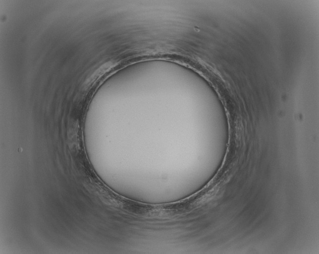 X0000071781265200607211548