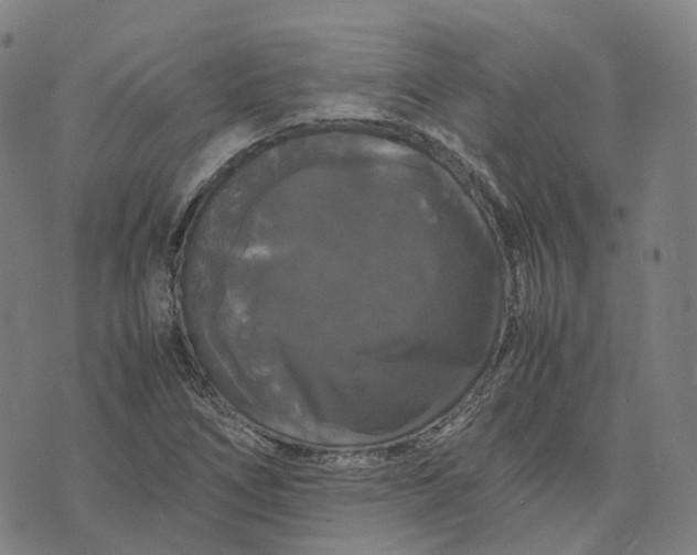 X0000071781266200607211548