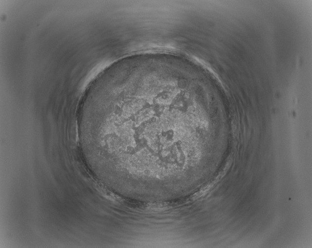 X0000071781267200607211548