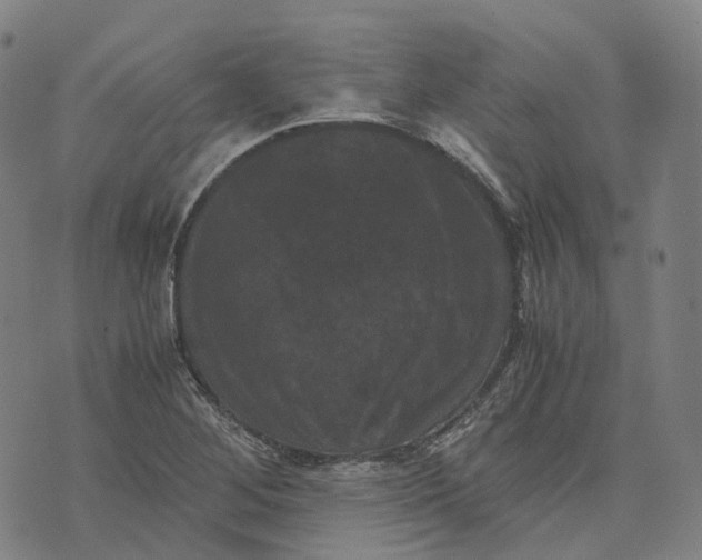 X0000071781268200607211548