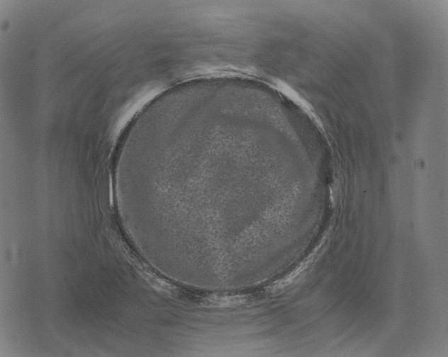 X0000071781269200607211548