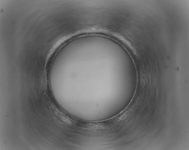 X0000071781270200607211548